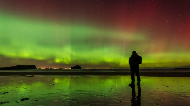 Male enjoys the Aurora, Northern Lights, Seacliff Beach with Bass Rock in the middle distance, East Lothian, Scotland.