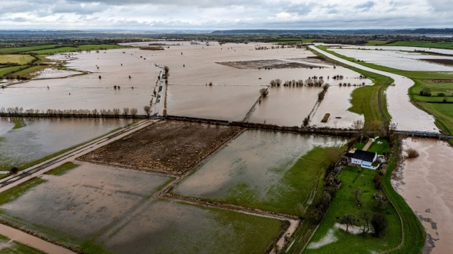 Flooded fields near the River Tone in Somerset. Weather warnings remain in force across much of the UK on Monday with adverse conditions, including flooding from heavy rain and thawing snow. Picture date: Monday January 6, 2025. PA Photo. See PA story WEATHER Winter. Photo credit should read: Ben Birchall/PA Wire