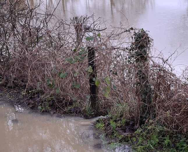 Deena Ingham lives on a narrowboat on the River Soar (Picture: Deena Ingham)