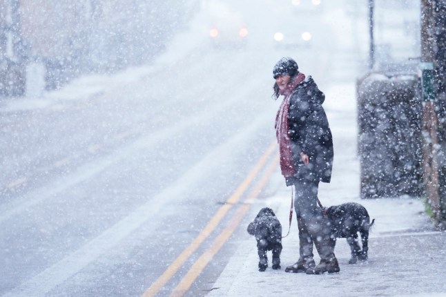 A woman walks her dogs through heavy snowfall on the high street of Saddleworth, England, Tuesday, Jan. 7, 2025.(AP Photo/Jon Super)