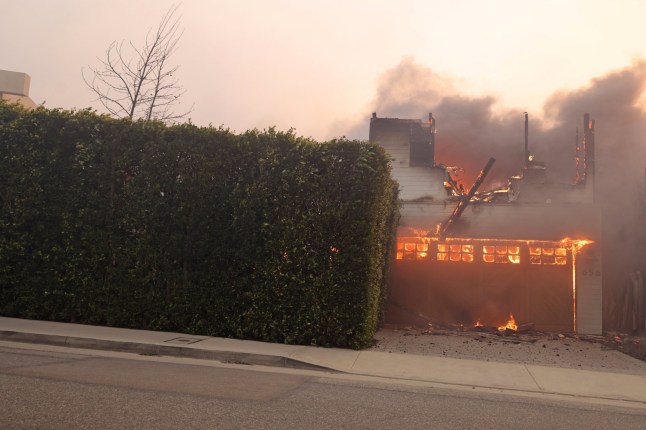 Los Angeles, CA - *PREMIUM-EXCLUSIVE* - Adam Brody and Leighton Meester???s house was impacted by the fast-moving wildfire in Pacific Palisades, which has forced thousands to evacuate. Pictured: Adam Brody, Leighton Meester BACKGRID USA 8 JANUARY 2025 USA: +1 310 798 9111 / usasales@backgrid.com UK: +44 208 344 2007 / uksales@backgrid.com *UK Clients - Pictures Containing Children Please Pixelate Face Prior To Publication*