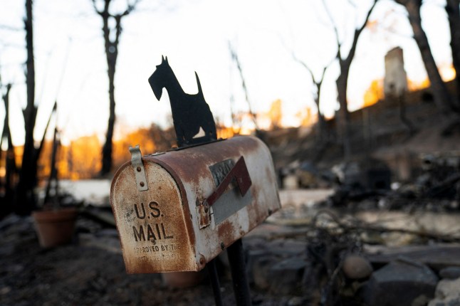 A maibox stands at a home burned by the Palisades Fire, in the Pacific Palisades neighborhood in Los Angeles, California, U.S. January 14, 2025. REUTERS/David Ryder