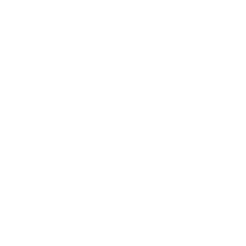 destinit