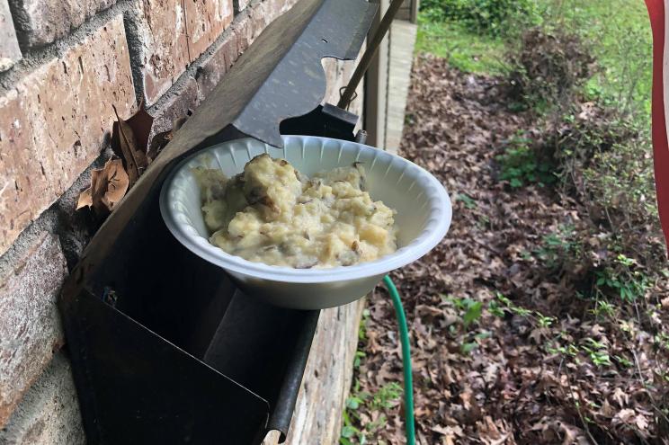 A bowl of mashed potatoes found by Mississippi resident Michaela Lin.