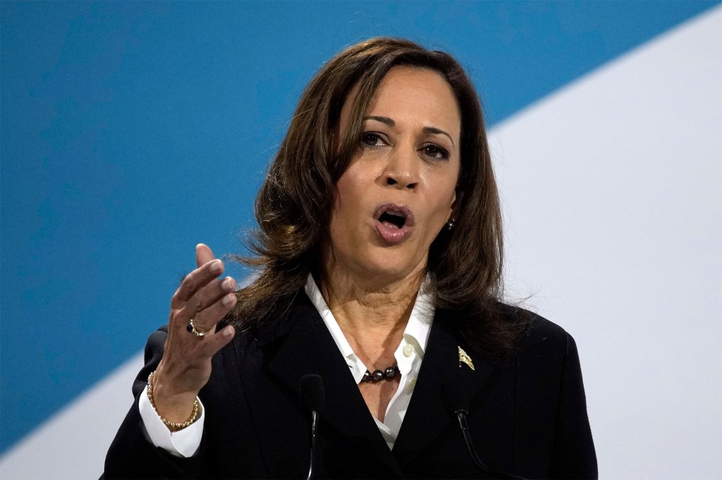 Vice President Kamala Harris delivers a speech during the Paris Peace Forum, in Paris, Thursday, Nov. 11, 2021