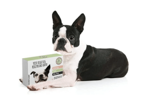 Allergy Test My Pet kit