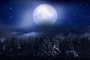 The winter solstice is especially notable from a planetary level, as it signals the official beginning of the coldest season in the Northern Hemisphere.