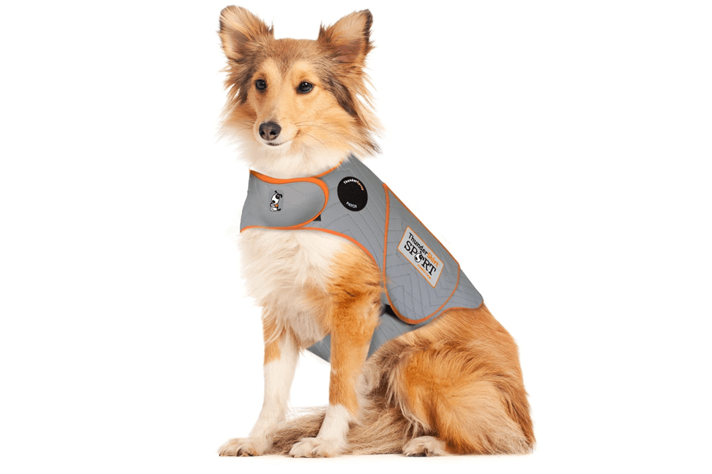 Dog wearing grey vest