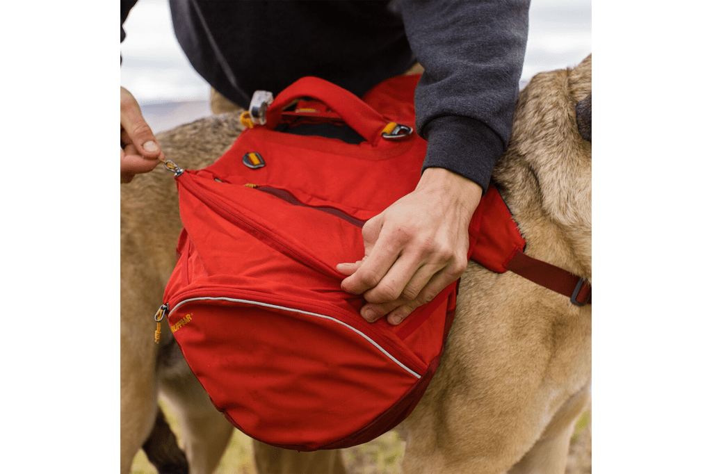 Red dog backpack