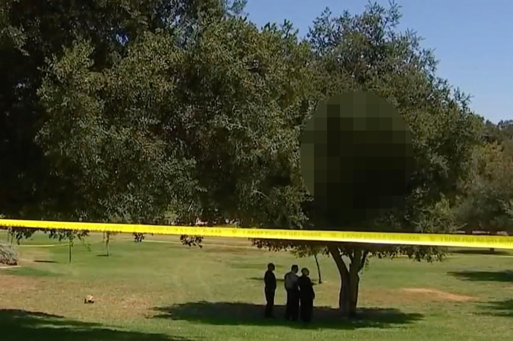 A woman's body engulfed in flames was found hanging from a tree in Los Angeles' popular Griffith Park on Tuesday.