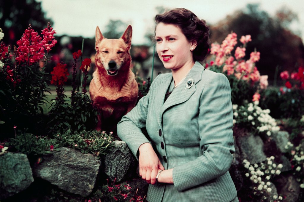 Queen Elizabeth with one of her Corgis