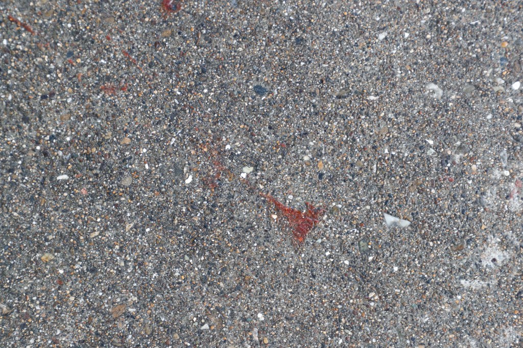 Blood on the sidewalk at the Rincon Hill neighborhood  crime scene.