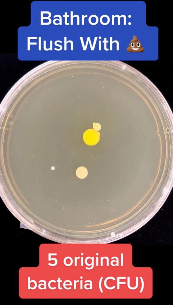 Pictured: Video grab testing bacteria using a clean toilet, using the flush.