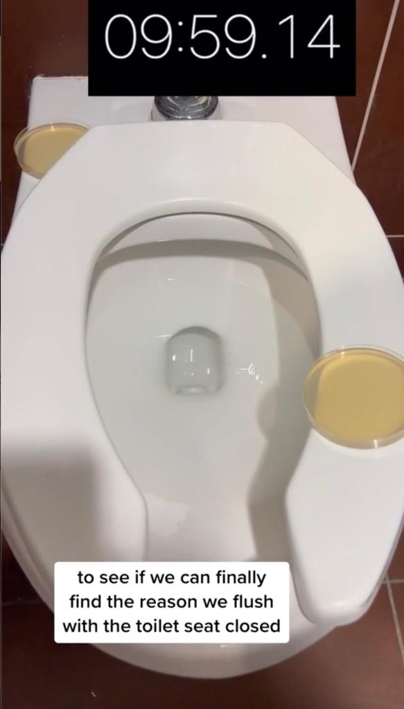 testing bacteria using a flush on a public toilet