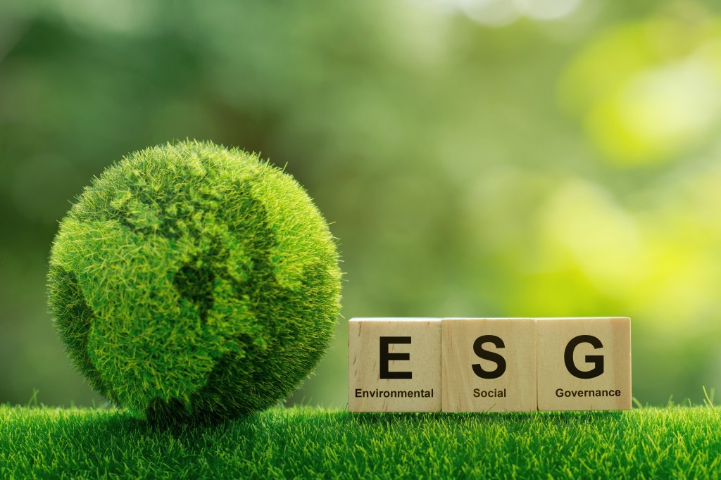 The costs of the big funds’ policy adventurism fall on ordinary investors and pensioners. Last year, ESG funds returned more than two percentage points less than ordinary funds. 