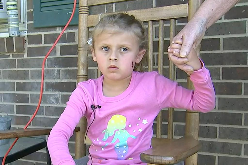 6-year-old Kinsley White and her parents were allegedly shot by Singletary.