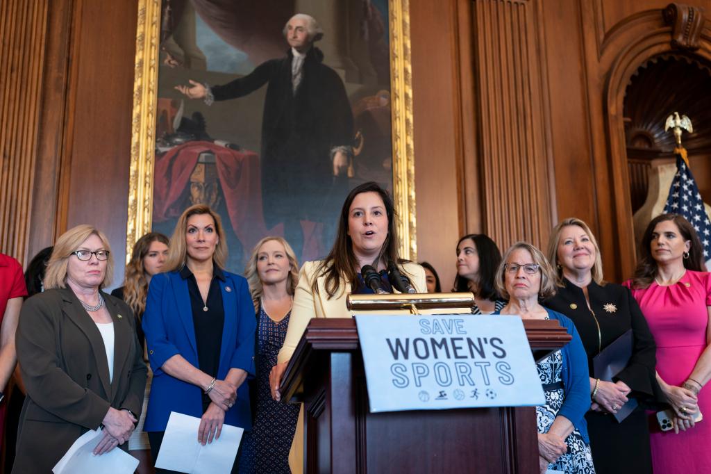 GOP conference chairwoman Elise Stefanik (R-NY) held a press conference before the vote.