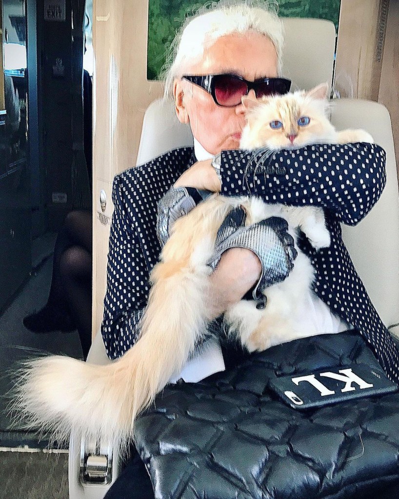 The designer's beloved cat, Choupette, is expected to turn heads along the red carpet at the MET Gala. 
