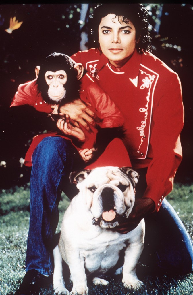 bubbles michael jackson's pet chimpanzee