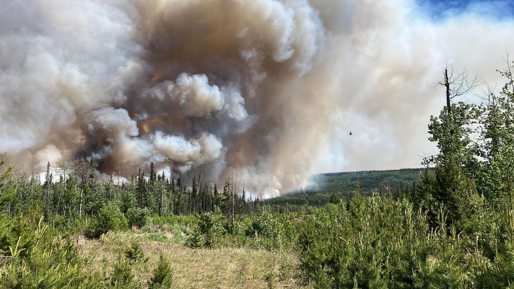 Wildfire in Canada