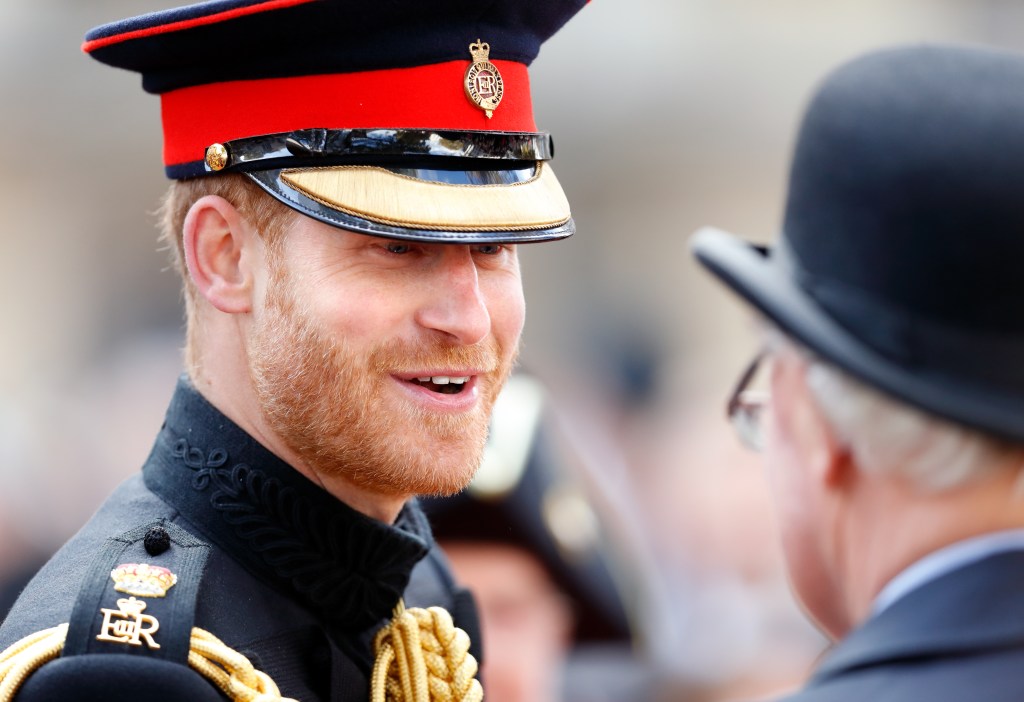 Prince Harry at Field of Remembrance at Westminster Abbey.