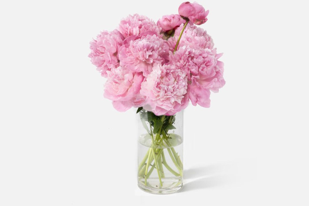 UrbanStems The Peony Bouquet