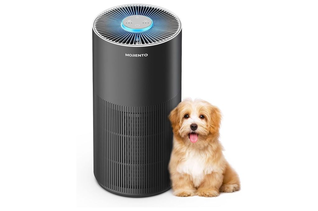 An air purifier with a dog.