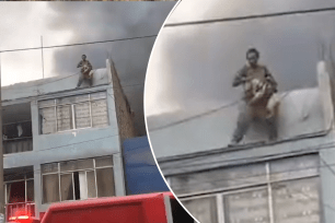 Homeless hero rescues 25 dogs from burning building in Peru