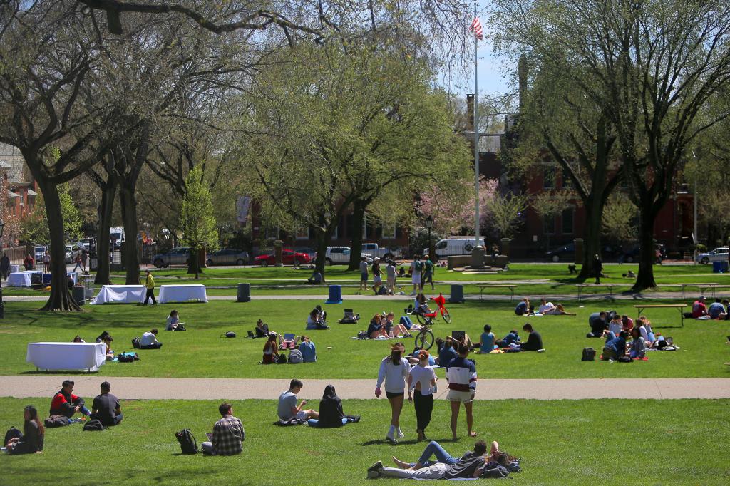 Students laying on the lawn Brown