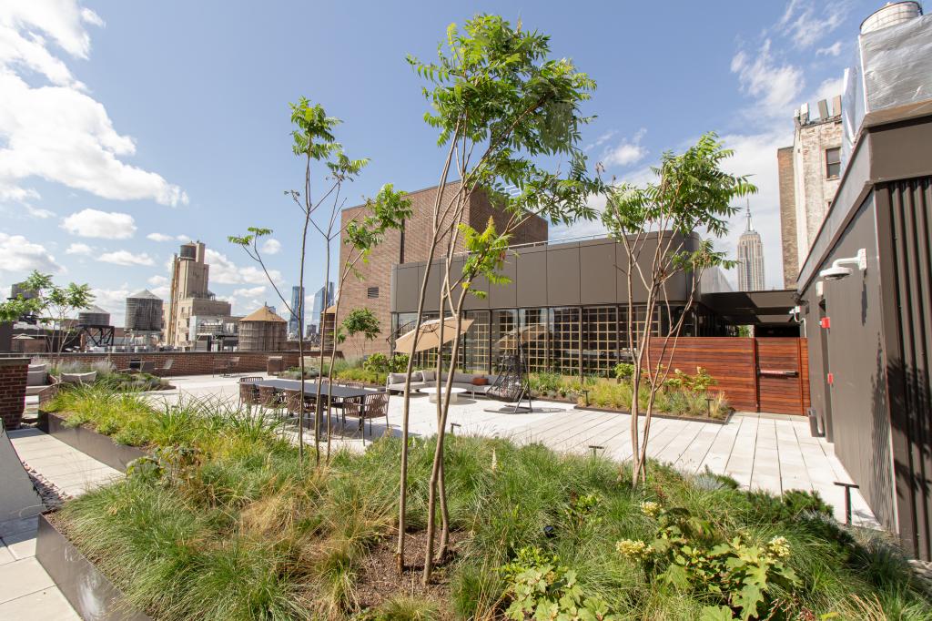 Microsoft will have dedicated use of a portion of the new roof terrace.