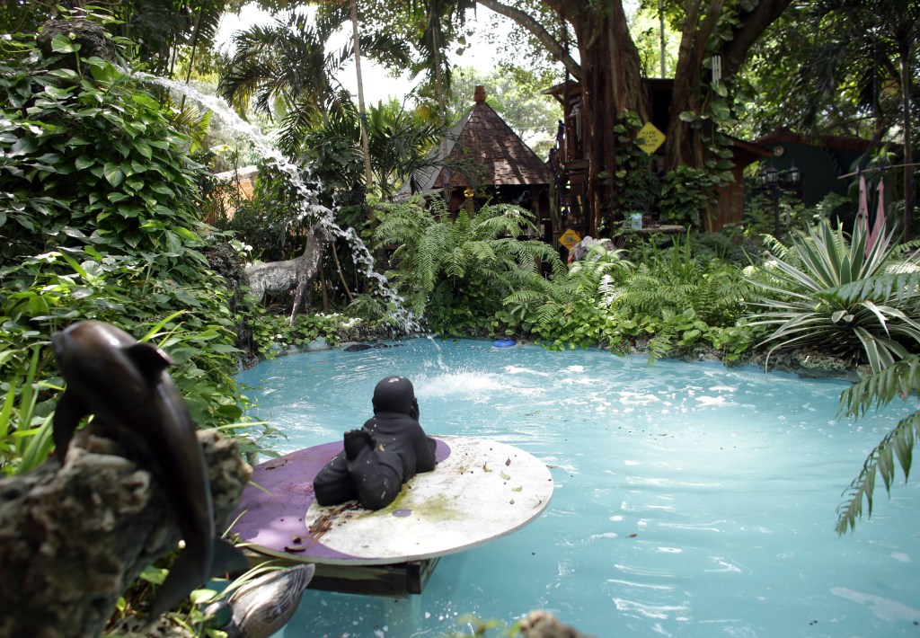 Over time, Chasser has built additions to her property, which now features her original bedroom up in the tree, a kitchen and living room on the ground, a pool, a water fountain and her new bedroom she built inside a Tiki hut last year.