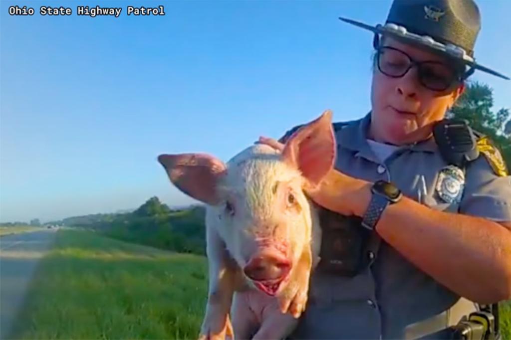 Officer holds Peal.