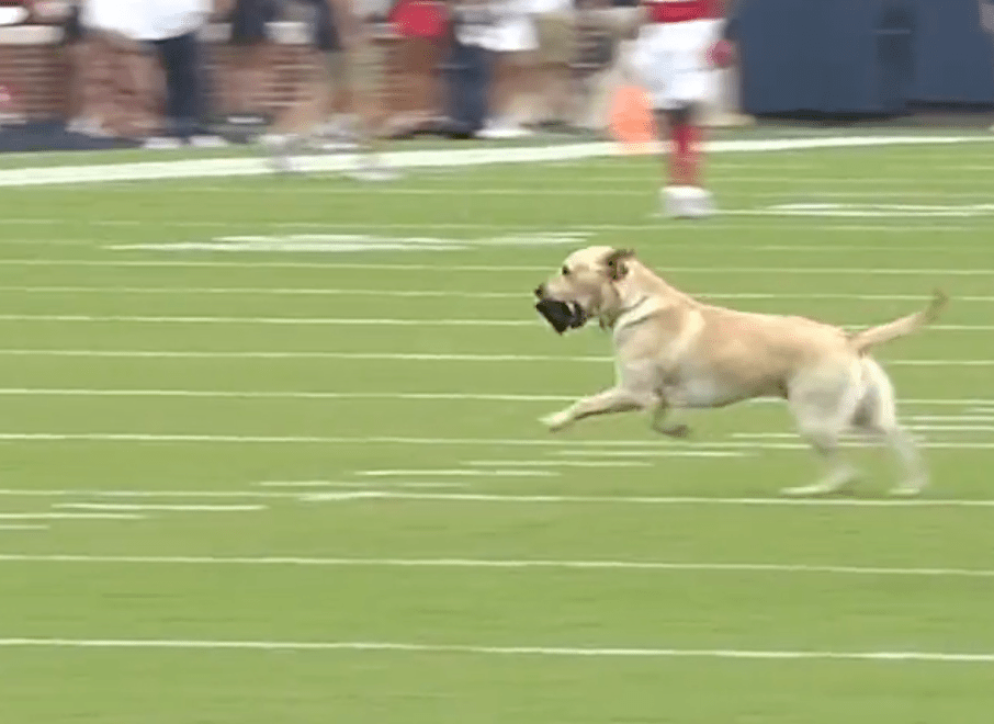 Juice Kiffin was the real MVP of the Ole Miss win.