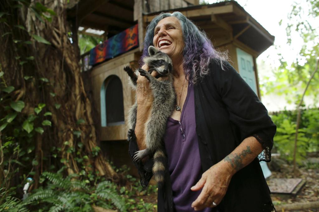 Shawnee Chasser, a Florida grandma, is tearing down her Miami treehouse she has lived in for almost two decades after she was fined thousands of dollars for her home violating the county building codes.