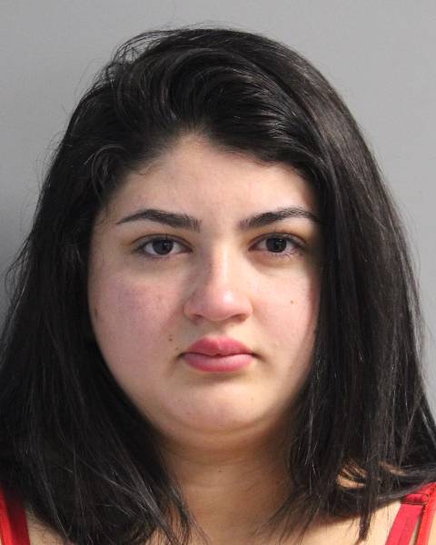 Sandra Cruz pleaded guilty to attempted enterprise corruption and is expected to be sentenced to six months of incarceration