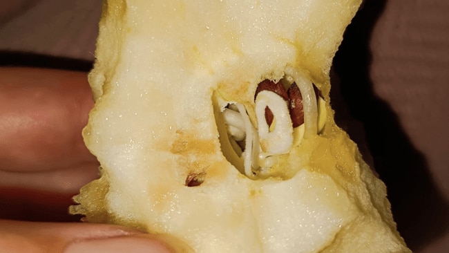 A close up of a sprouting apple found by a woman at ALDI, shared on Facebook.