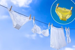 A clothes line with various types of underwear hanging on it