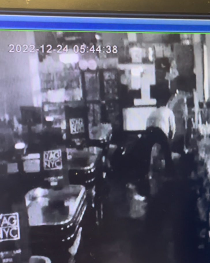 Footage of a shoplifter in action at D'Agostino