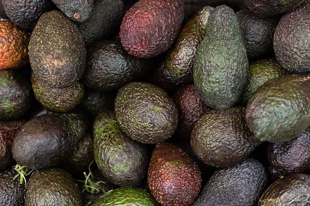 Avocados "have good unsaturated fats, a good source of fiber, and a multitude of vitamins, minerals, and phytonutrients," one registered dietitian noted. 