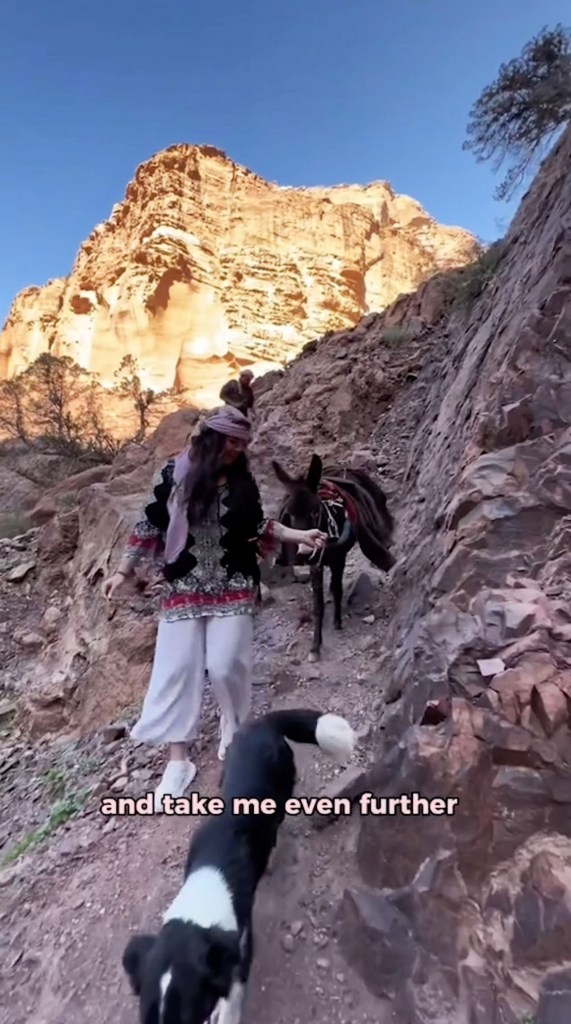 Caitlin Redden leading a donkey 