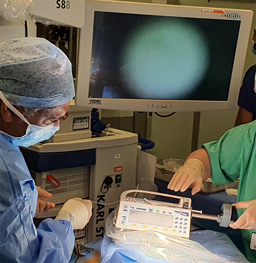 Doctors during the operation on Opal Sandy