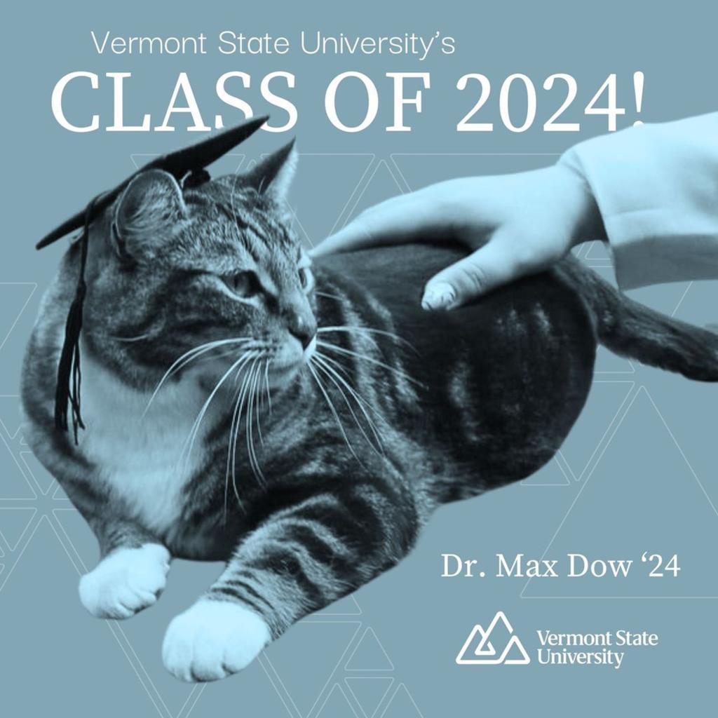 Max the cat stretches outside a building at Vermont State University Castleton campus on Friday, May 17, 2024 in Castleton, Vt . The school has bestowed an honorary degree on the beloved member of the campus community, ahead of graduation on Saturday, May 17.