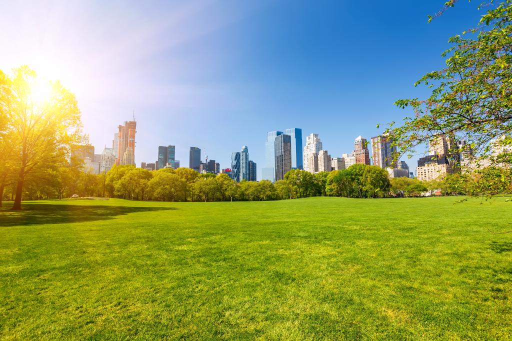 Central park on a sunny day in New York City.