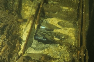 18th century bottles of champagne discovered in shipwreck.