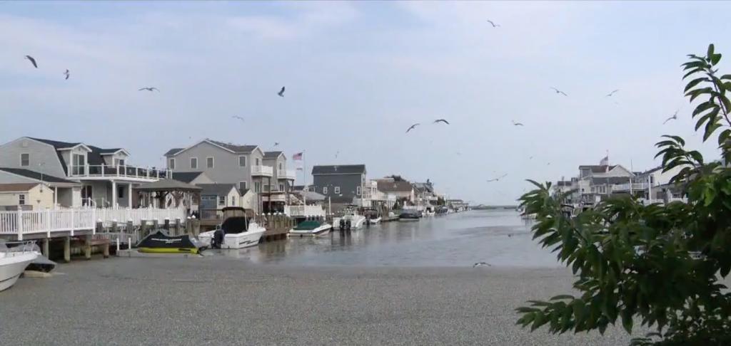 View of Osborn Island in Little Egg Harbor