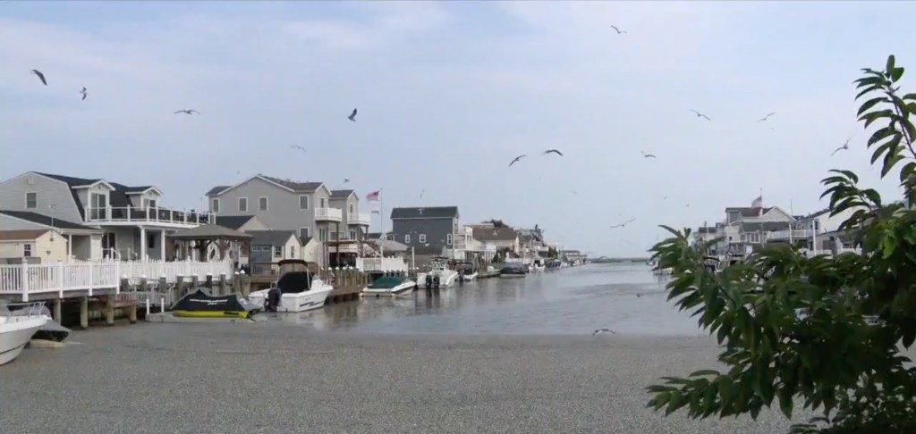 View of Osborn Island in Little Egg Harbor
