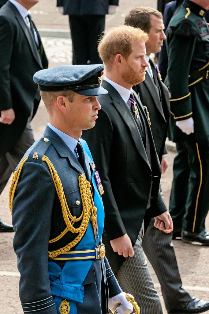 The Queen's Funeral Procession passes Buckingham Palace- Britain's  William, Prince of Wales and Prince Harry, Duke of Sussex attend, Britain September 19, 2022. 