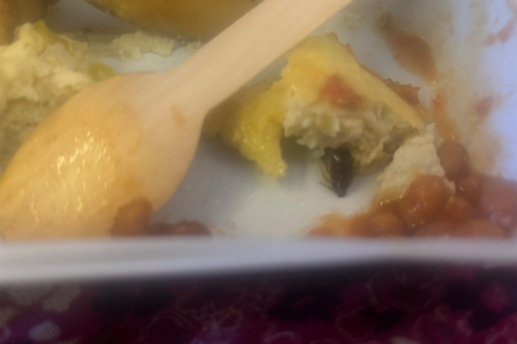 Suyesha Savant claimed that she found a cockroach in the omelette served on her Air India flight from New Delhi to New York.