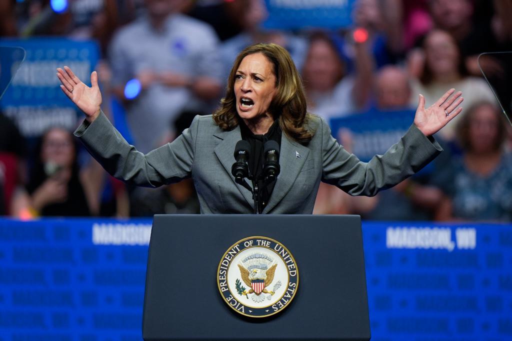 Democratic presidential nominee Vice President Kamala Harris speaks at a campaign event Friday, Sept. 20, 2024, in Madison, Wisconsin.