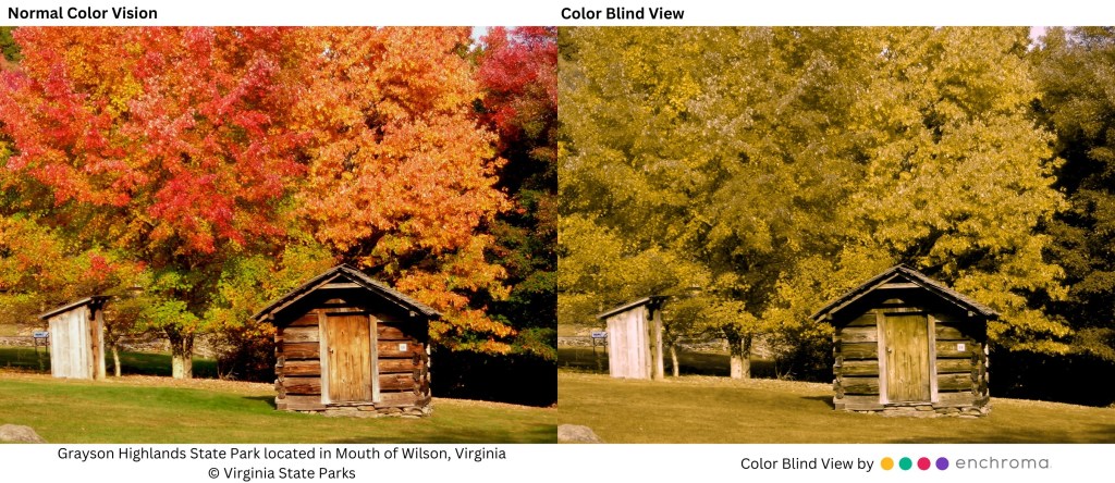 Virginia State Parks are installing EnChroma-adapted viewfinders for colorblind guests